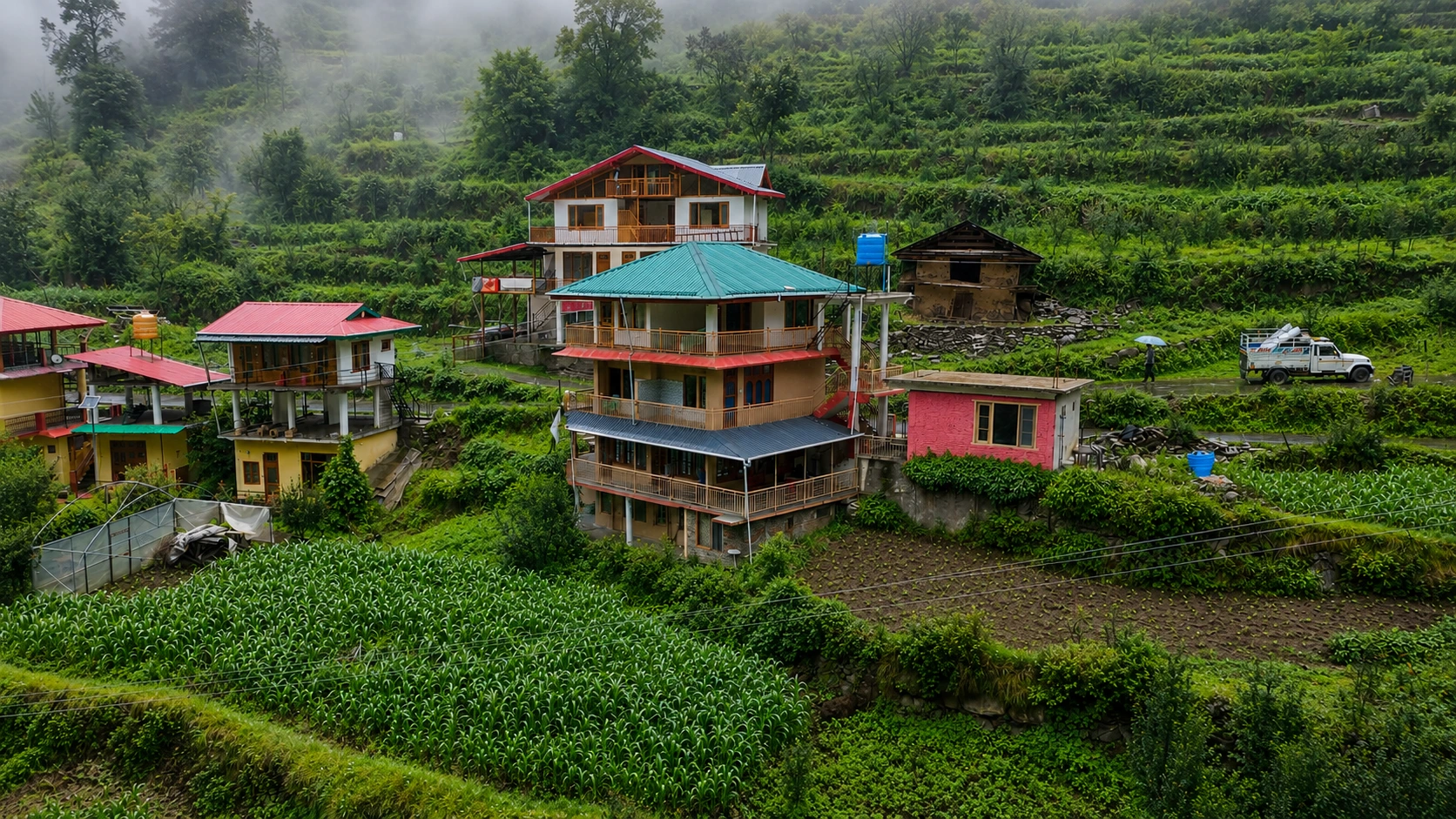 mountain mist homestay