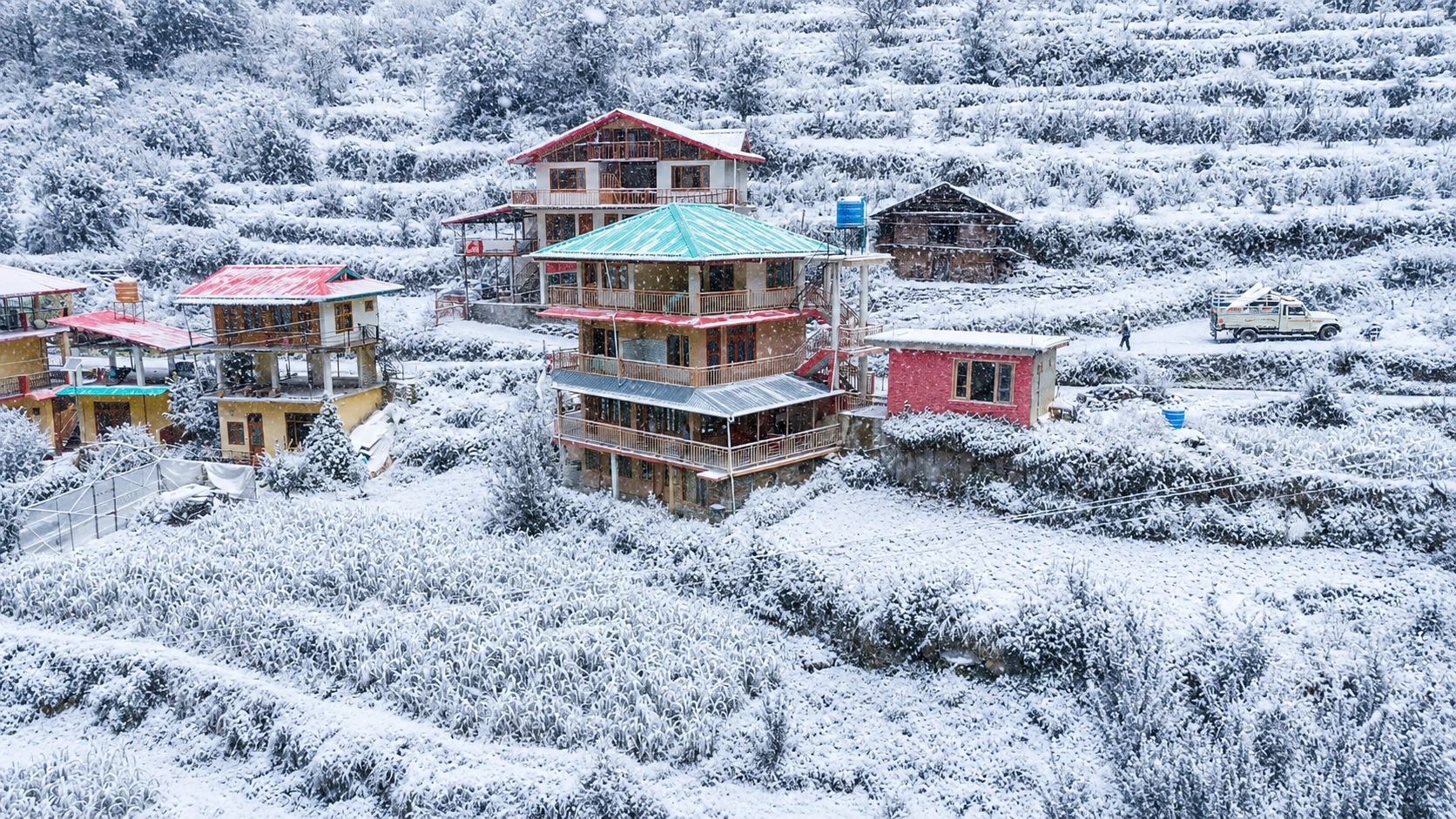mountain mist homestay