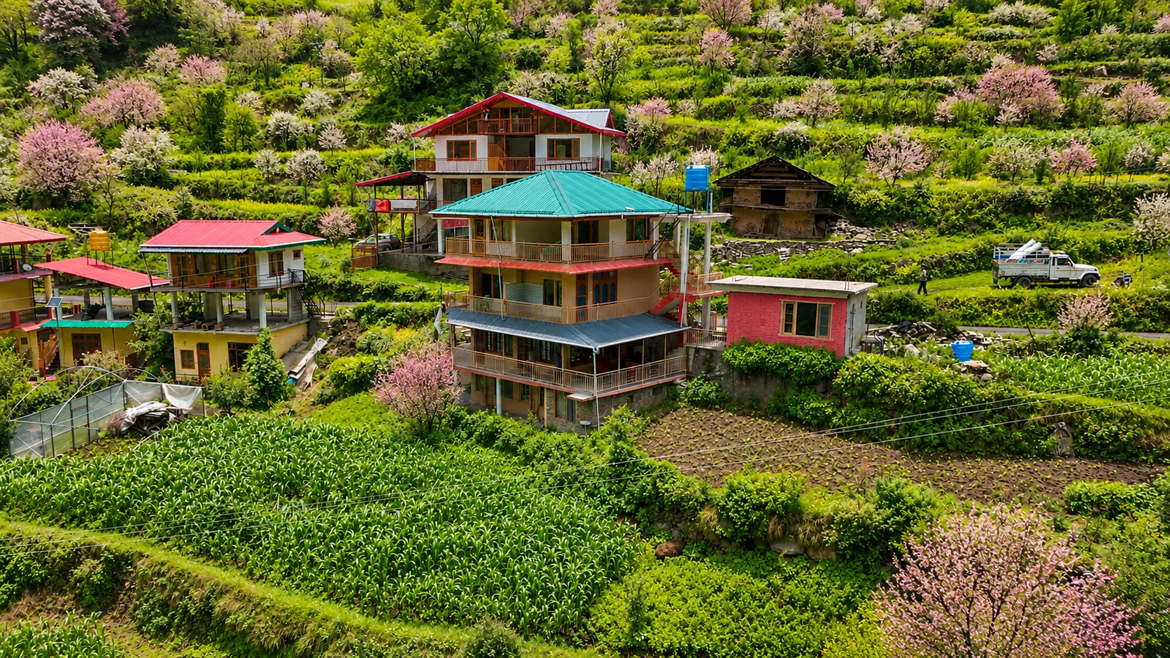 mountain mist homestay