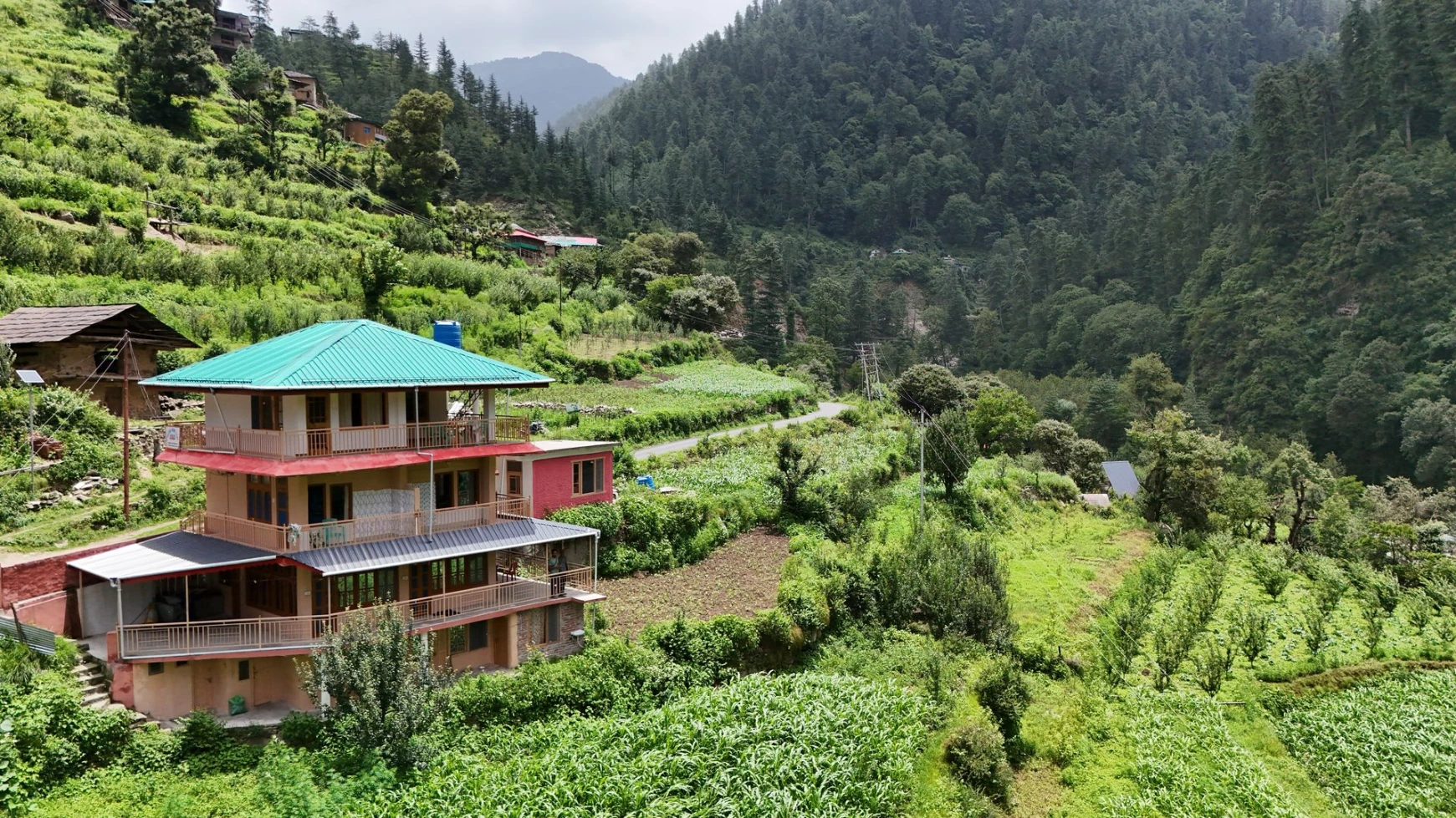 mountain mist homestay
